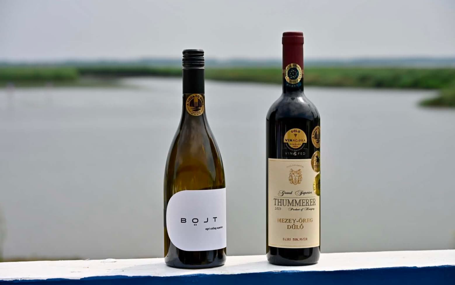 Tisza tó bora