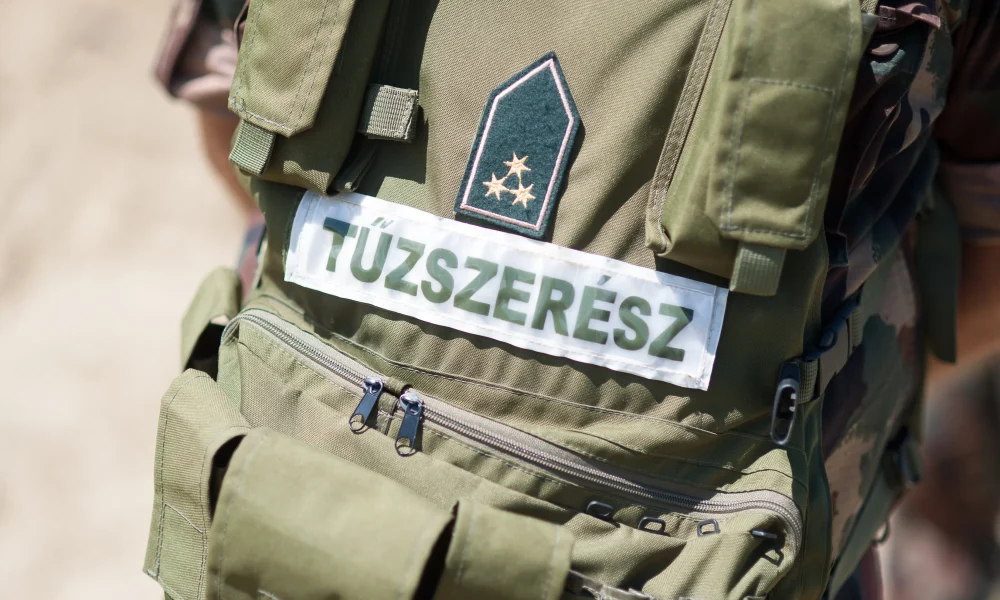 Katonasag tuzszeresz kll 0769 kl.jpg
